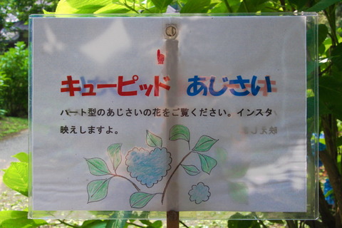 コピー (1) ～ コピー (1) ～ IMG_4218_1_1_1_1_1