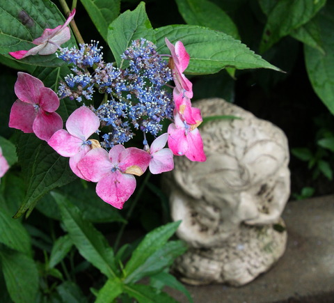 コピー (1) ～ IMG_3892_1 - コピー