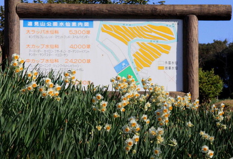 51f10c1d.jpg