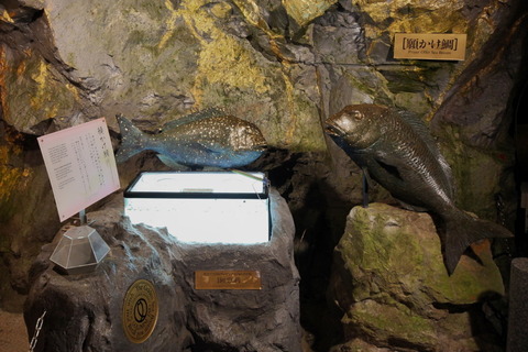 コピー (1) ～ IMG_9451_1_1