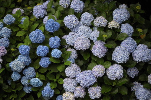 589d57ea.jpg