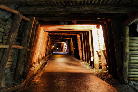 コピー (1) ～ IMG_9408_1_1