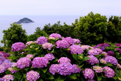 6211f814.jpg