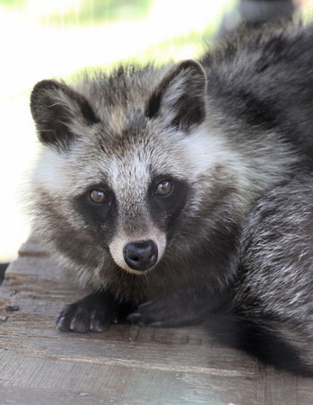 03 コピー (1) ～ IMG_4031_1