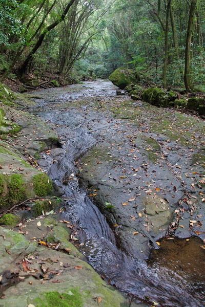 08IMG_1521_1