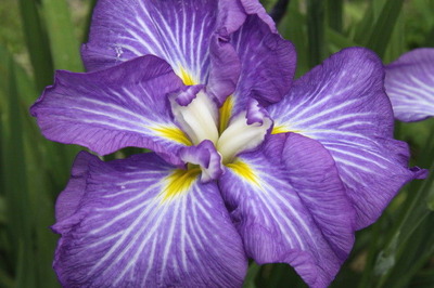 6d209f27.jpg