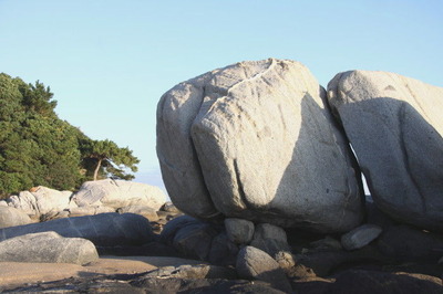 6d4688e2.jpg
