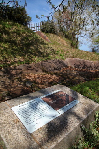 03IMG_2717_1