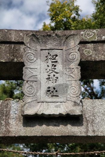 03IMG_7446_1