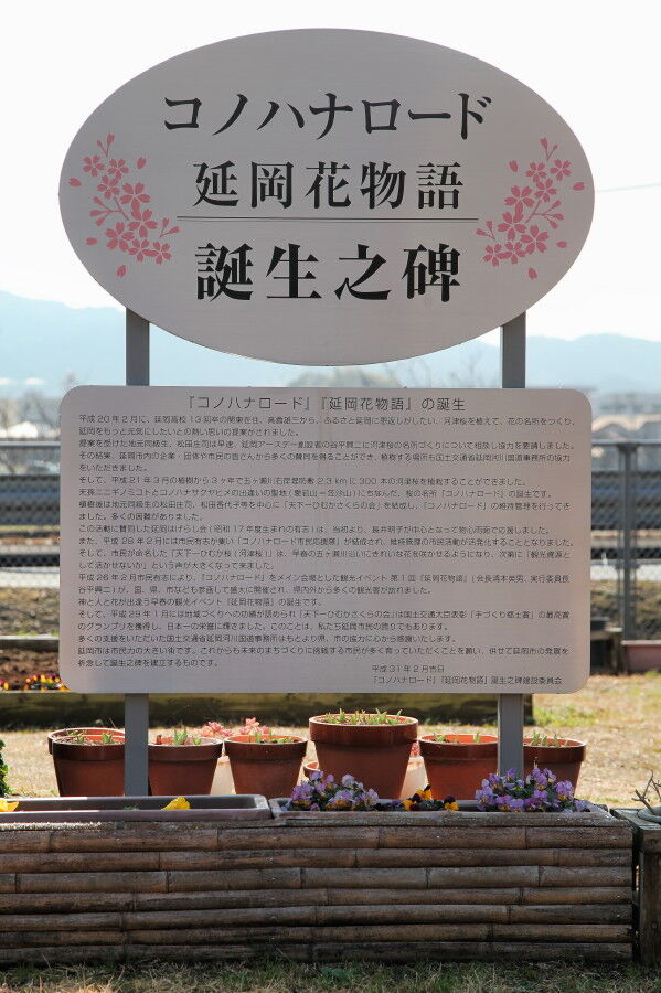 延岡花物語 中島の九州ブログ