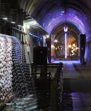 コピー (1) ~ IMG_0389_1