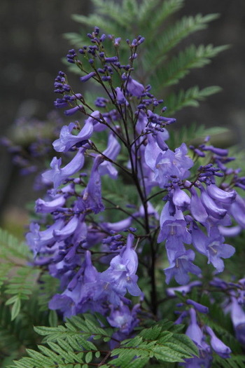 73e78359.jpg