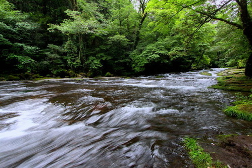 7a3395c5.jpg