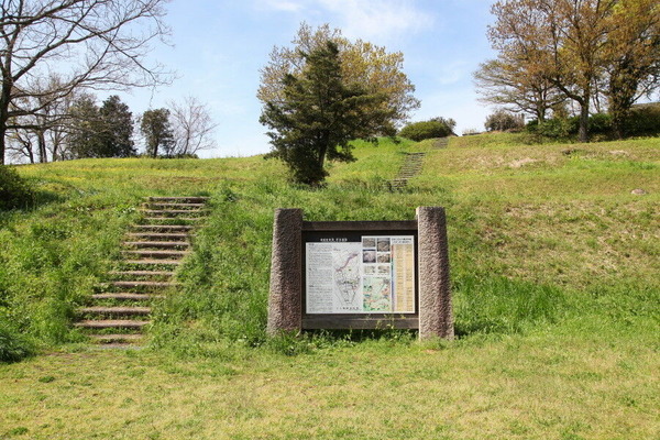 01IMG_2715_1_1_1