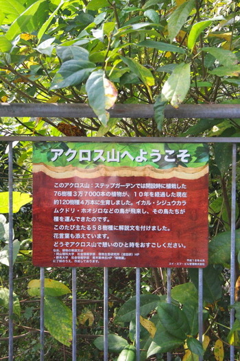 コピー (1) ～ IMG_8186_1