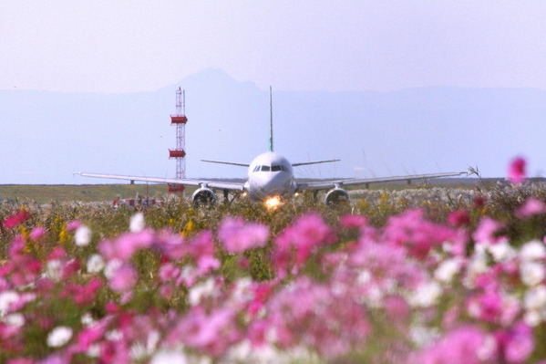 806b7756.jpg