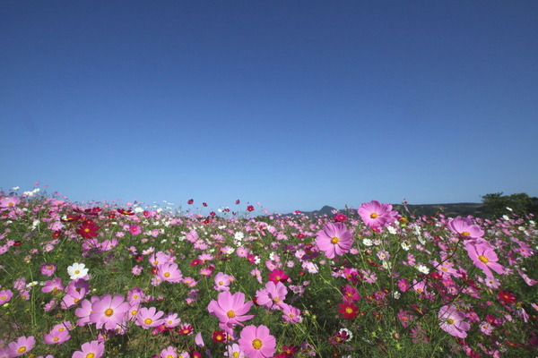 コピー (1) ～ IMG_6046_1_1