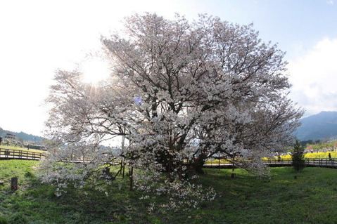85e9bb68.jpg