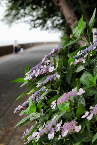 05IMG_3379_1