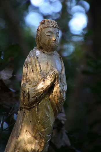 コピー (1) ~ IMG_6015_1