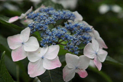 8b8c4745.jpg