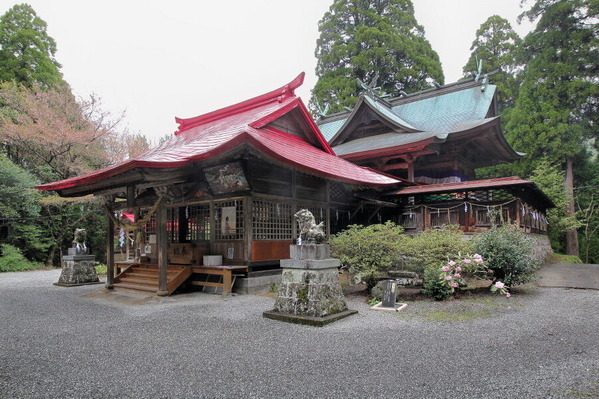 コピー (1) ~ IMG_5144_1