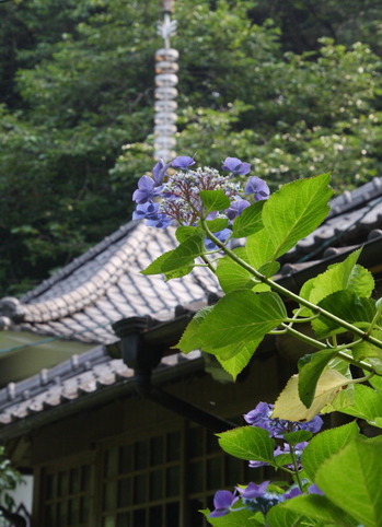 02 コピー (1) ～ IMG_4213_1_1