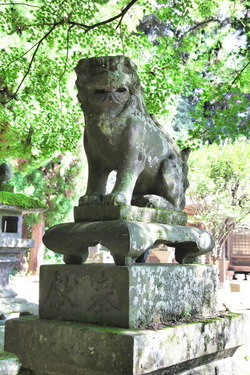 IMG_2272_1