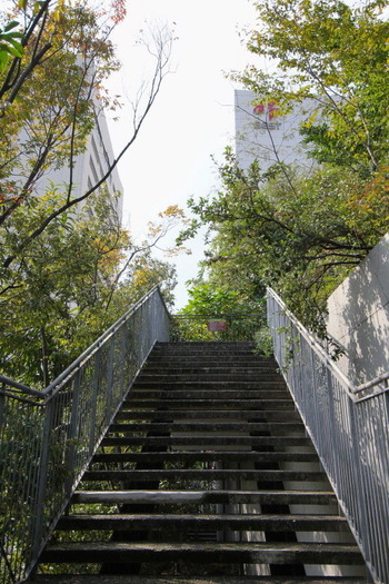 コピー (1) ～ IMG_8185_1