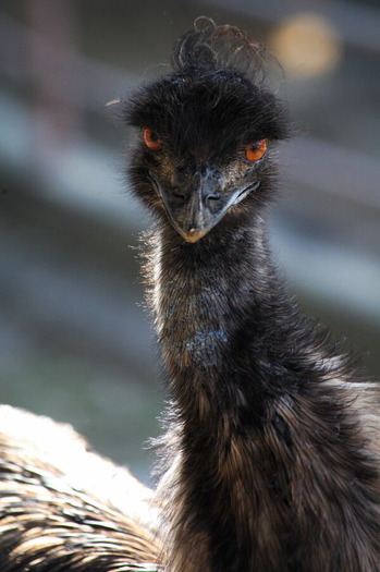 コピー (1) ～ IMG_0632_1_1