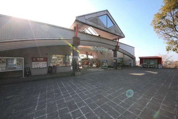 コピー (1) ～ IMG_0674_1_1_1