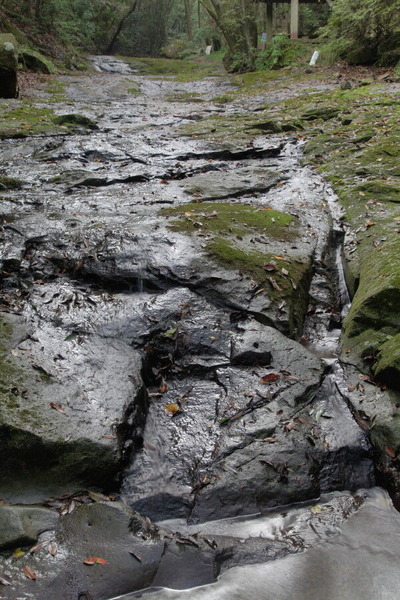 06IMG_1512_1