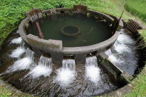 コピー (1) ～ IMG_5620_1_1