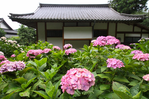 コピー (1) ～ IMG_3881_1 - コピー