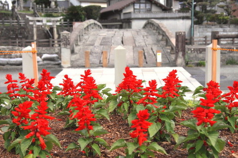 9a136044.jpg