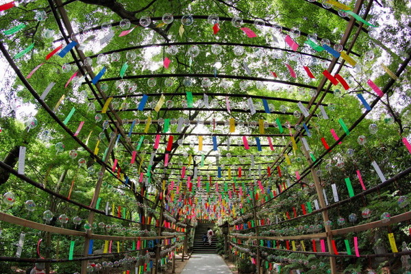 コピー (1) ～ IMG_5046_1_1