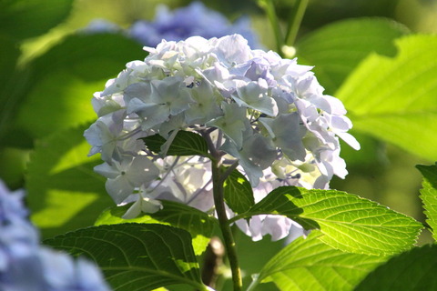 11 コピー (1) ～ IMG_4261_1_1