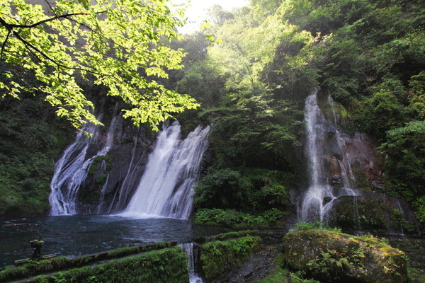 コピー (1) ～ IMG_5640_1_1