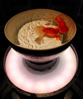 コピー (1) ~ IMG_0120_1