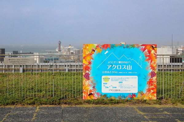 コピー (1) ～ コピー (1) ～ IMG_8206_1_1_1