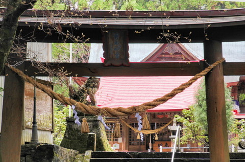 コピー (1) ~ IMG_5150_1