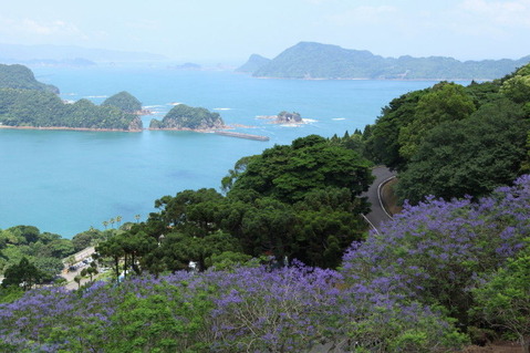 a886dde6.jpg