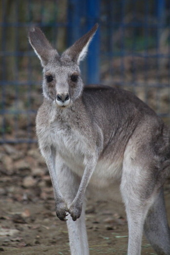 コピー (1) ～ IMG_0565_1_1_1