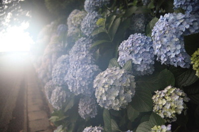 b32570c0.jpg