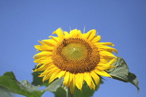 b44a7328.jpg