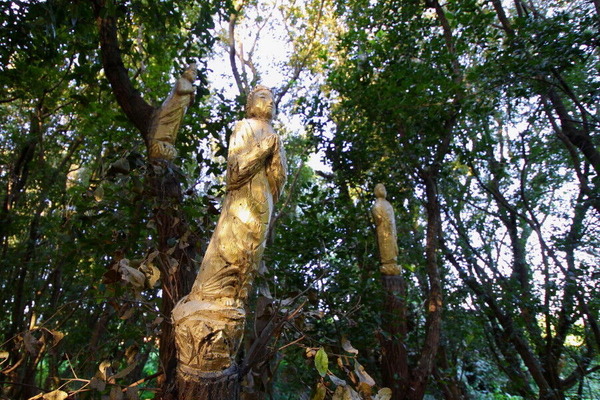 コピー (1) ~ コピー (1) ~ IMG_6011_1_1_1