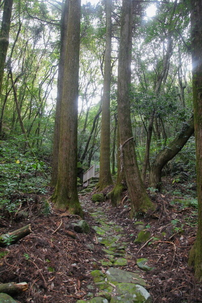 02IMG_1503_1