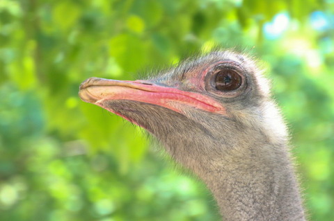 08 コピー (1) ～ IMG_4052_1