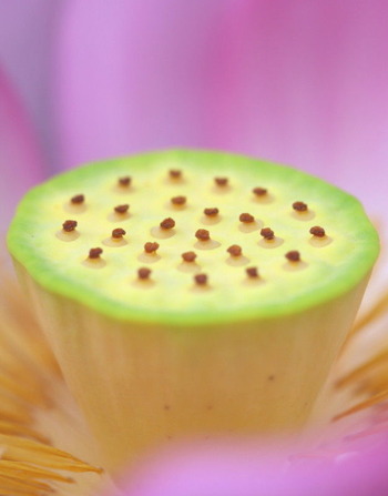 c36d2a46.jpg