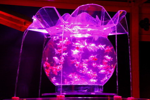 コピー (1) ~ IMG_0170_1